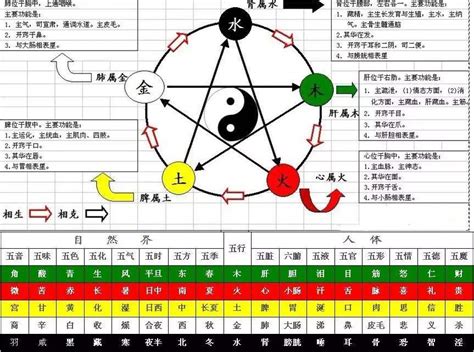 天干克|十大天干的五行阴阳类象属性与生克关系详解